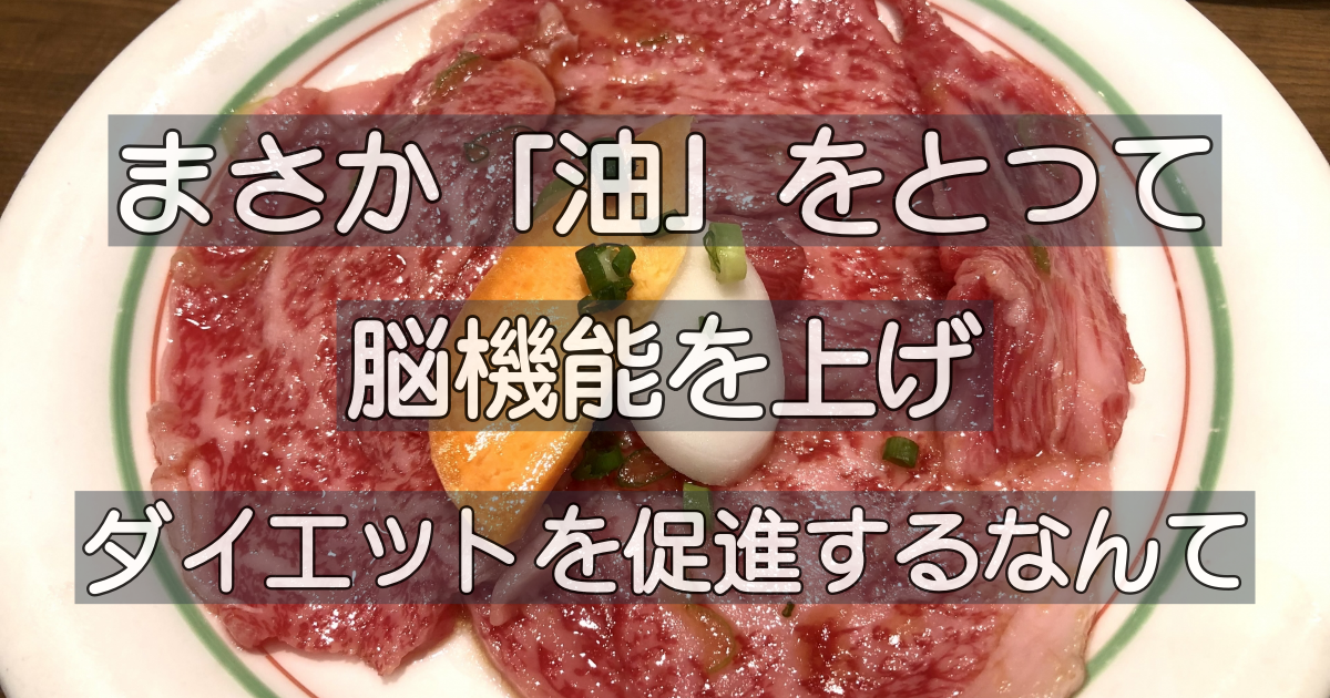 脂質制限をやめれば脳機能を上げダイエットを促進させる 放射線技師f太郎のブログ 脂質制限をやめれば脳機能を上げダイエットを促進させる 放射線技師f太郎のブログ